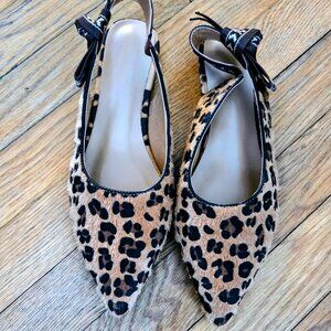 Leopard print slingback flats, 7.5